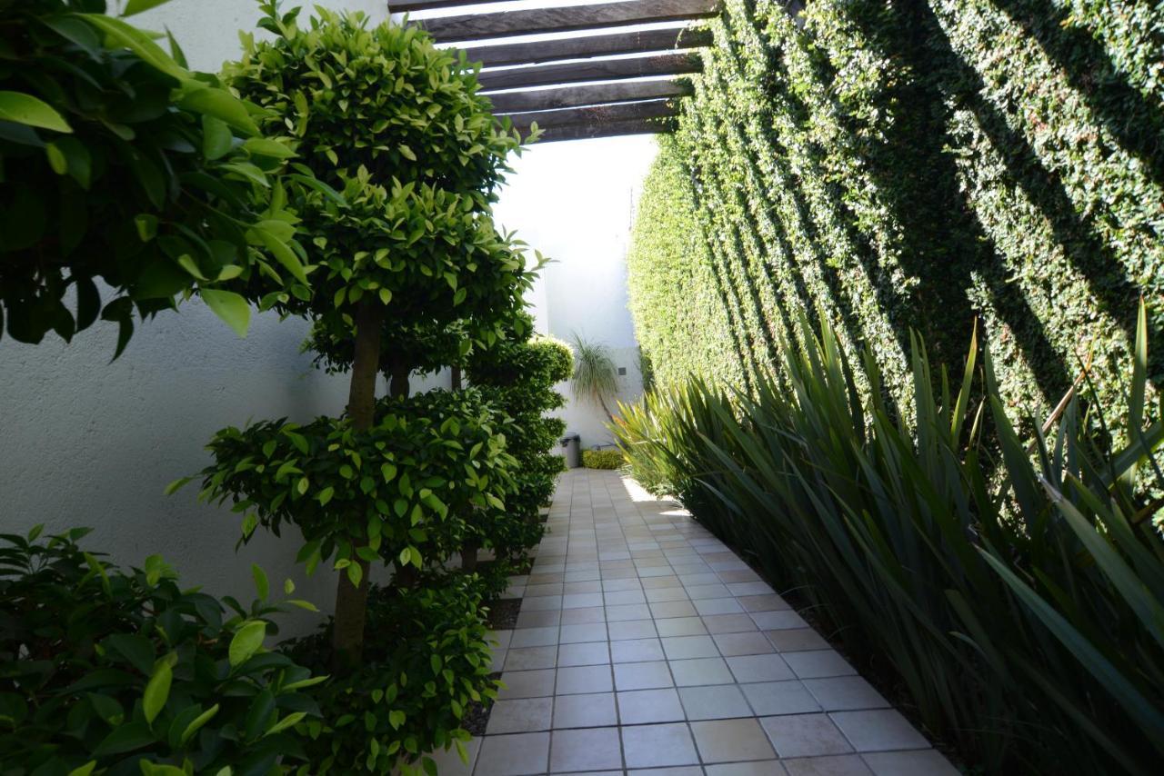 Suites La Fe Oaxaca Exteriör bild